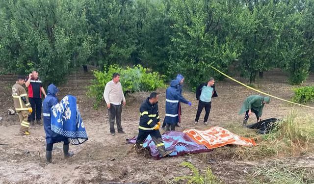 Tur midibüsü şarampole devrildi: 4 ölü, 26 yaralı / Ek fotoğraflar