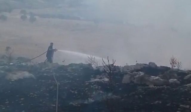 Adıyaman'da orman yangını; söndürme çalışmaları sürüyor