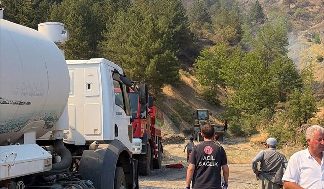 Adıyaman'daki orman yangınına havadan ve karadan müdahale sürüyor