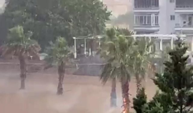 Ağaca yıldırım düşme anı kamerada