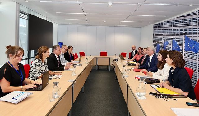 Bakan Bolat, Avrupa Komisyonu Üyesi Šefčovič ile görüştü