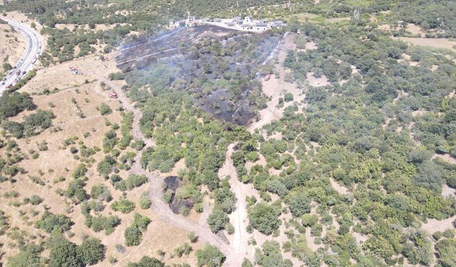 Çanakkale'de orman yangını (2)