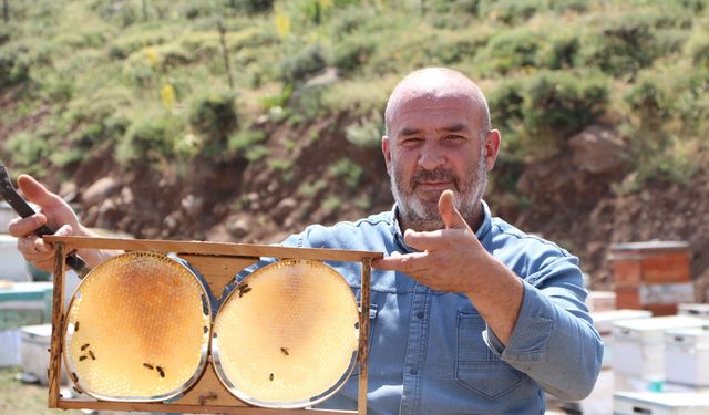 Coğrafi işaretli Bingöl balında hasat zamanı / Ek fotoğraflar