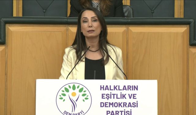 DEM Parti'li Hatimoğulları: Çerçeve yasa mutabakatla çıkmalı