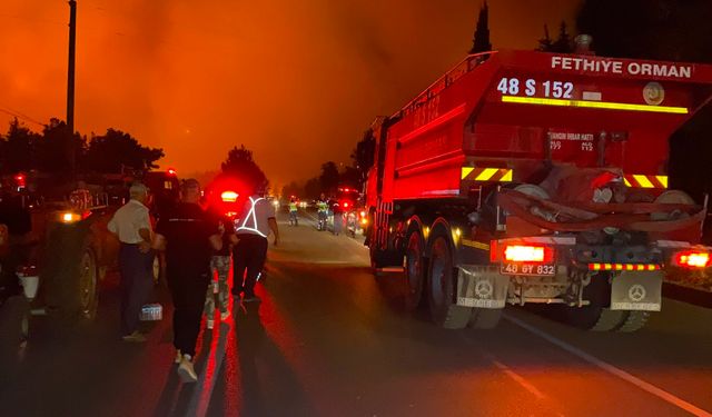 Fethiye'de orman yangını