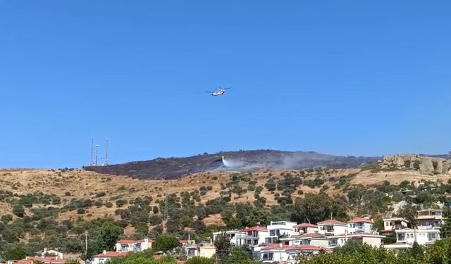 Foça'da maki yangını