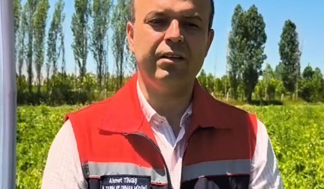 Iğdır'da 7 bin dekar alanda üretilen karpuzda 30 bin ton rekolte beklentisi
