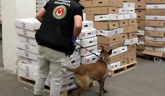 Kapıkule'de TIR'da 526 kilo uyuşturucu ele geçirildi