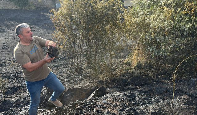 Karabük'te otluk alanda çıkan yangın söndürüldü