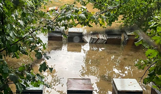 Kastamonu'da Cide'de sağanak; Devrekani Çayı taştı, ev ve iş yerini su bastı (2)