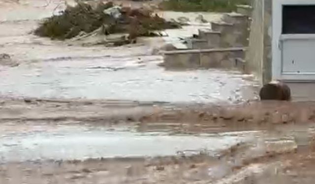 Kastamonu'da Cide'de sağanak; Devrekani Çayı taştı, ev ve iş yerini su bastı (4)