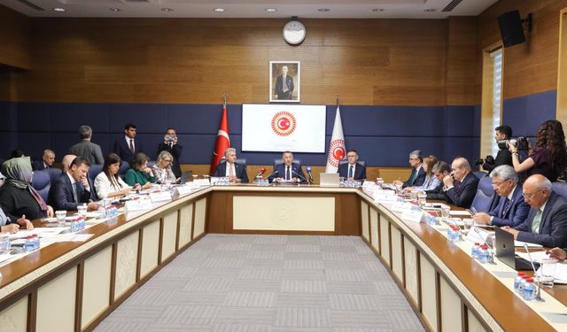Komisyon Başkanı Oktay: Avrupa Parlamentosu'nda TSK ile akıl dışı iddialar içeren kararlar yok hükmünde