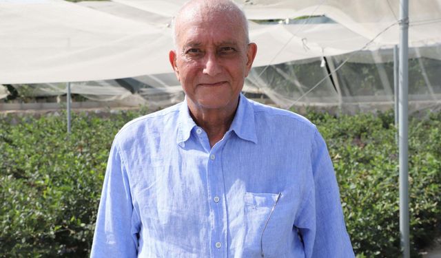 Kurumsal firmalardaki işlerini bırakan çift, sürdürülebilir çiftlik hayalini gerçekleştirdi
