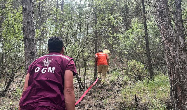 Kütahya'da orman yangını