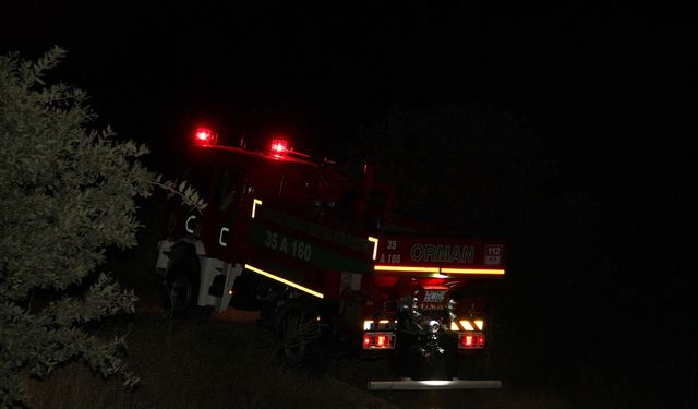 Manisa'da makilik alandaki yangın ormana sıçramadan kontrol altına alındı