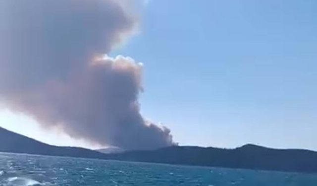 Milas'ta orman yangını