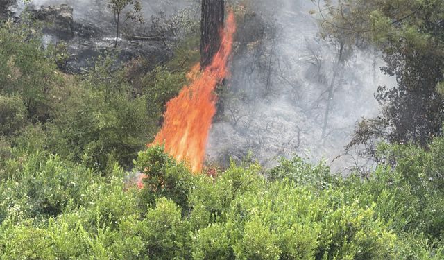 Muğla Seydikemer'deki orman yangınına havadan müdahale yeniden başladı (2)