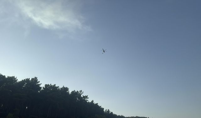 Muğla Seydikemer'deki orman yangınına havadan müdahale yeniden başladı