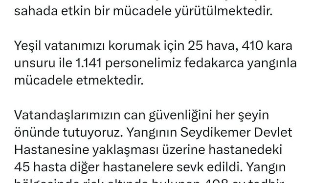 Muğla'da orman yangını (8)