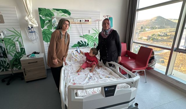 Niğde'de sahipli köpeğin saldırdığı 2 yaşındaki Egemen'in başına 22 dikiş atıldı