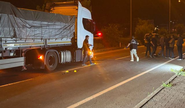 Ormanda bir kişiyi yaraladıktan sonra kaçarken TIR'ın çarptığı şüpheli öldü; olayda 1 tutuklama