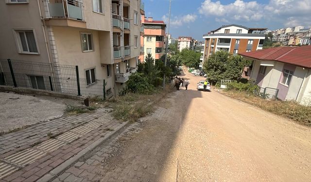 Otomobil apartmanın bahçesine uçtu; 1 yaralı