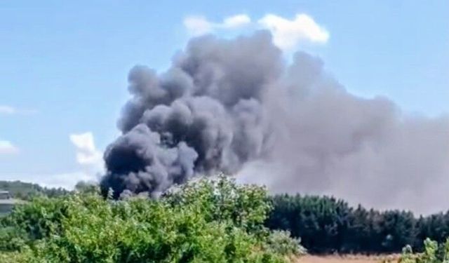 Silivri'de çiftlikte yangın; bahçedeki odunluk küle döndü