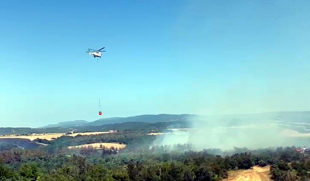Tekirdağ'da anız yangınında alevler, ormana sıçradı