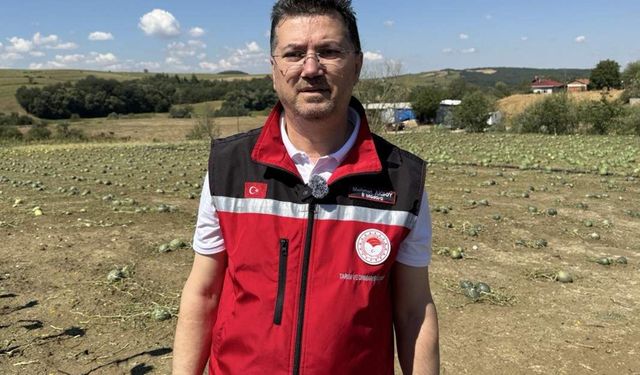 Tekirdağ'da dolu yağışı nedeniyle 35 bin dekar ekili alan zarar gördü, hasar tespiti başladı