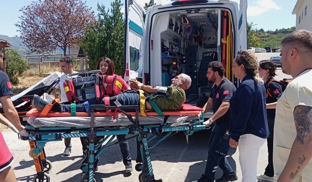 Tunceli'de engerek yılanının ısırdığı kişi helikopterle hastaneye kaldırıldı