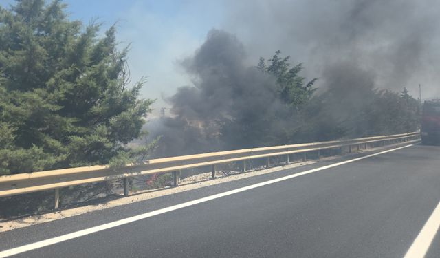 Yol kenarındaki ağaçlık alanda çıkan yangın kontrol altına alındı