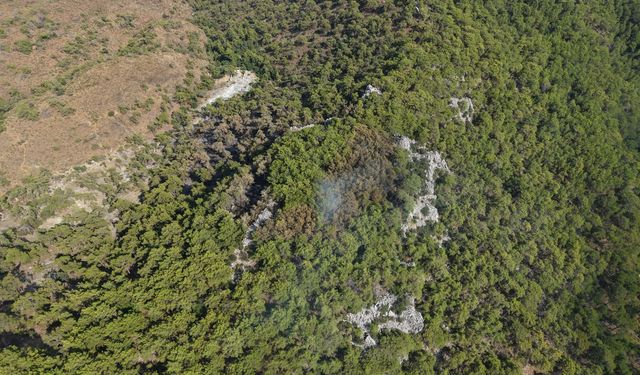 Antalya'da orman yangını (2)