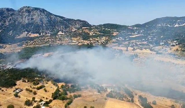 Antalya'da orman yangını
