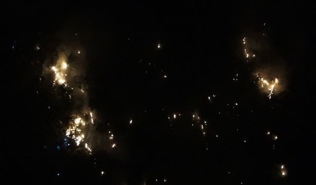 Antalya'daki orman yangını, 14 saat sonra kontrol altına alındı / Ek fotoğraflar