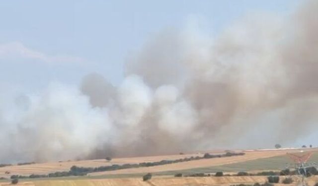 Bursa'da maki yangını