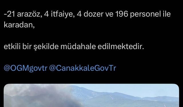 Çanakkale'de orman yangını (2)