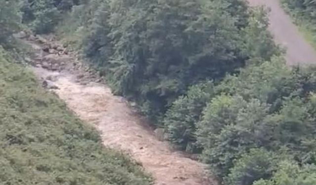 Giresun'da derede akıntıya kapılan 2 kızının ardından annenin de cansız bedeni bulundu (3)