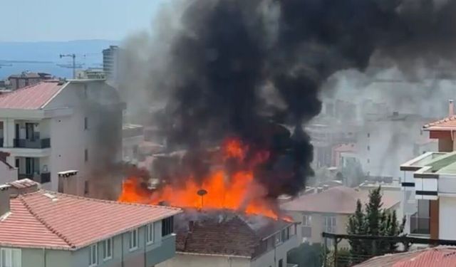Kartal'da yangında mahsur kalan kediyi itfaiye kurtardı