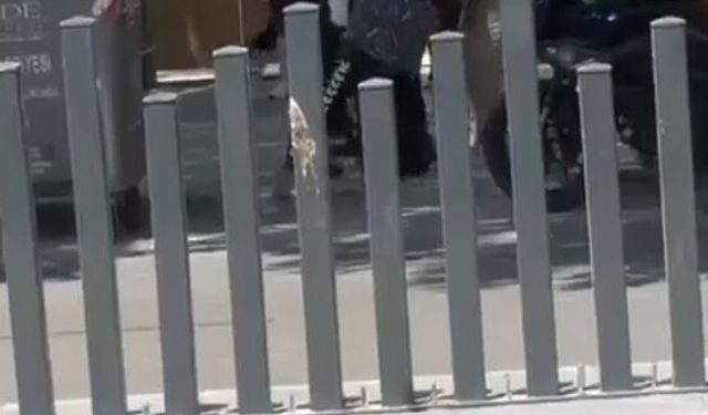 Kavga eden kadınları trafik polisleri ayırdı
