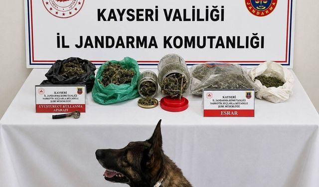 Kayseri'de 1,2 kilo esrar ele geçirildi; 1 gözaltı