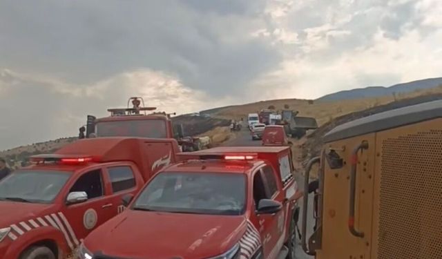 Malatya'da orman yangını (2)