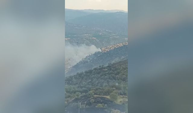 Malatya'da orman yangını