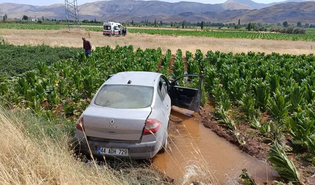 Malatya'da otomobil, tütün tarlasına girdi: 3 yaralı