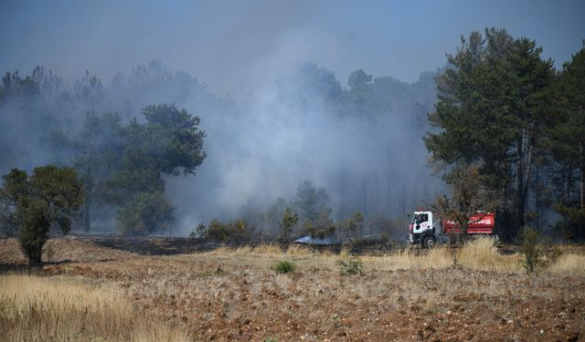 Ormana sıçrayan yangın, erken müdahaleyle söndürüldü