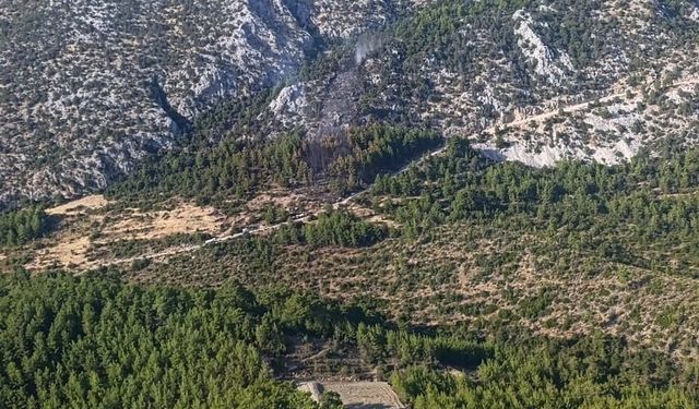 Antalya'da orman yangını (2)