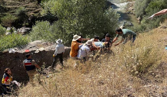 Bingöl'de otomobil dere yatağına devrildi: 1 ölü, 4 yaralı