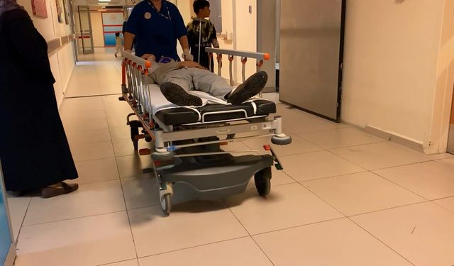 Bursa'da hafif ticari araç refüjdeki ağaca çarptı: 2 yaralı