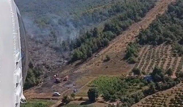 Bursa'da orman yangını (2)