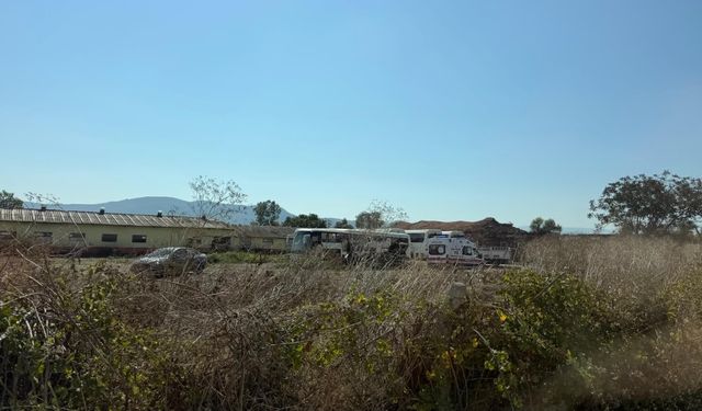 Bursa'da orman yangını- Yeniden