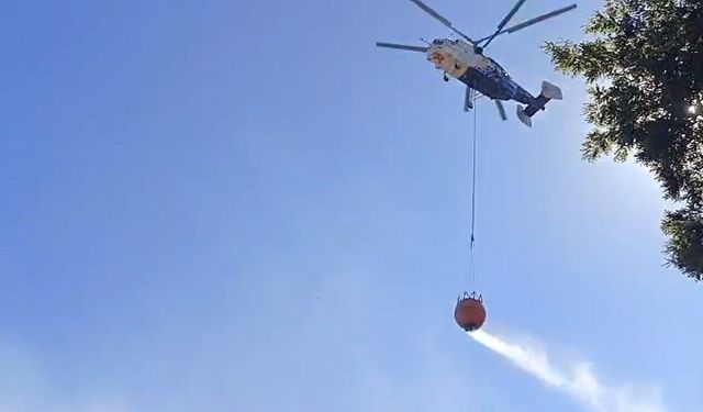 Bursa'da orman yangını